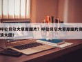 呼伦贝尔大草原图片？呼伦贝尔大草原图片高清大图？