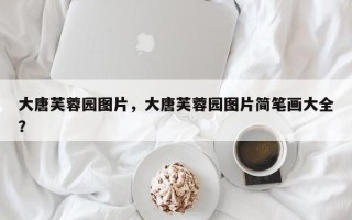 大唐芙蓉园图片，大唐芙蓉园图片简笔画大全？