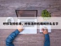 呼和浩特机场，呼和浩特机场叫什么名字