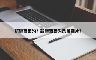 新疆葡萄沟？新疆葡萄沟风景图片？
