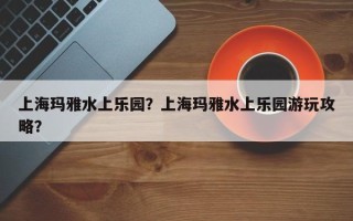 上海玛雅水上乐园？上海玛雅水上乐园游玩攻略？