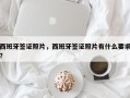 西班牙签证照片，西班牙签证照片有什么要求？