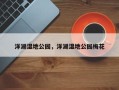 洋湖湿地公园，洋湖湿地公园梅花